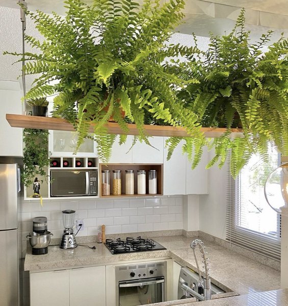 Imagen destacada de la propiedad